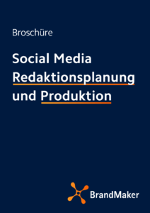 Social Media Redaktionsplanung und Produktion