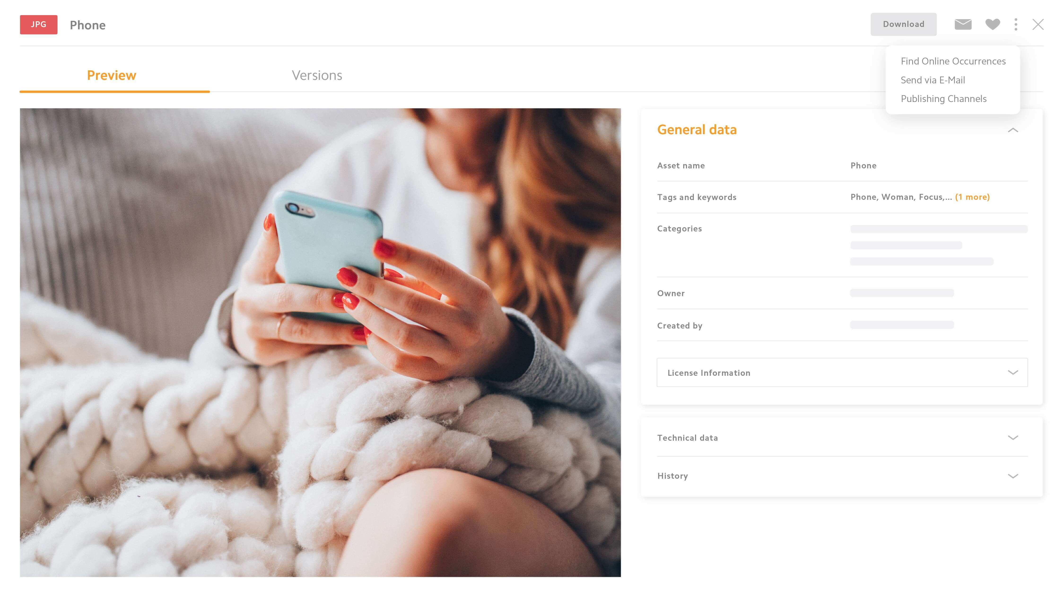 Digital Asset Manager Detail View